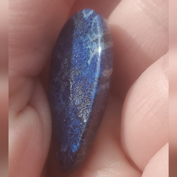 New Blue Fossil Teardrop Pendant. - Picture 12 of 16